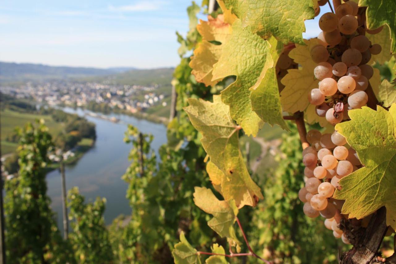 Weingut Markus Junglen Krov Bagian luar foto